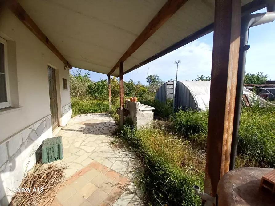 Immagine 5 di Terreno agricolo in vendita  a Castelnuovo Magra