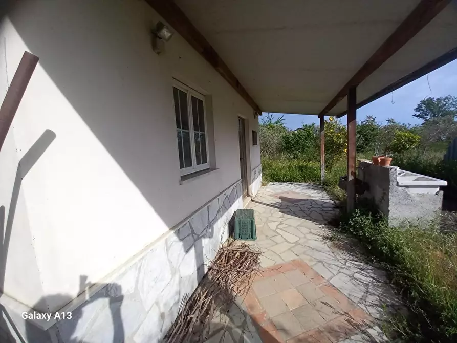 Immagine 7 di Terreno agricolo in vendita  a Castelnuovo Magra