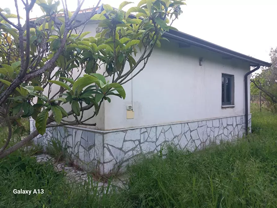 Immagine 9 di Terreno agricolo in vendita  a Castelnuovo Magra