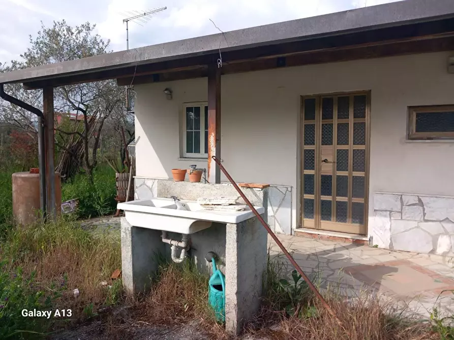 Immagine 12 di Terreno agricolo in vendita  a Castelnuovo Magra