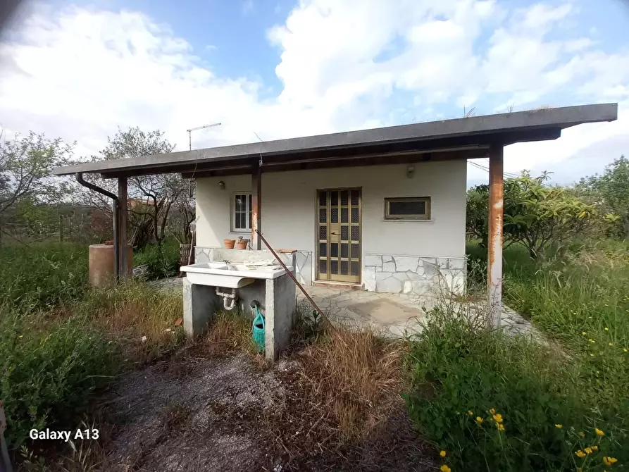 Immagine 2 di Terreno agricolo in vendita  a Castelnuovo Magra