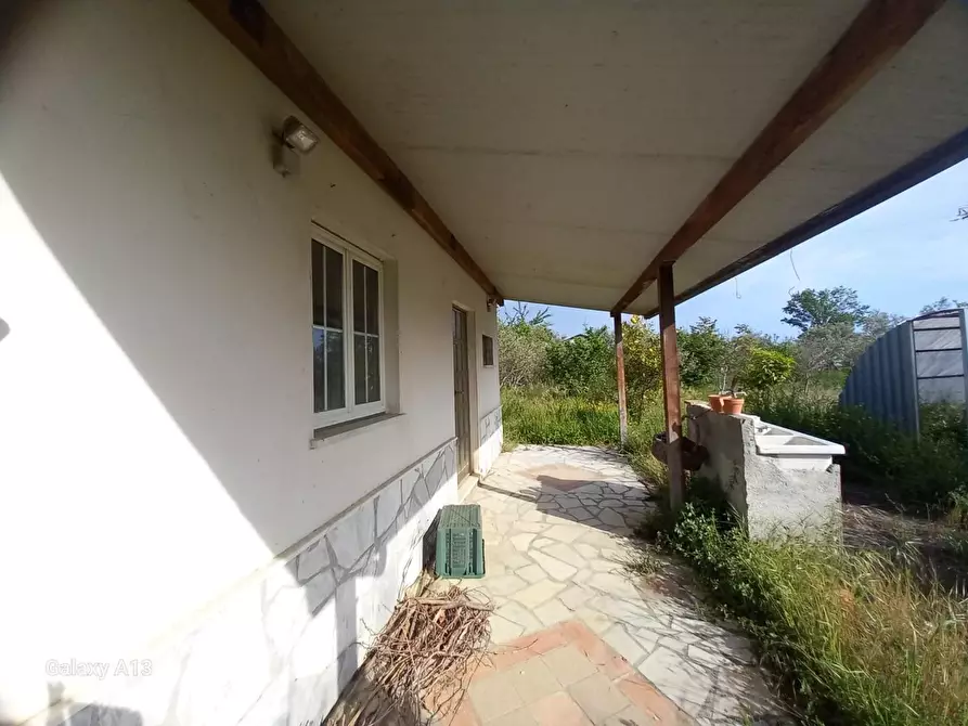 Immagine 6 di Terreno agricolo in vendita  a Castelnuovo Magra