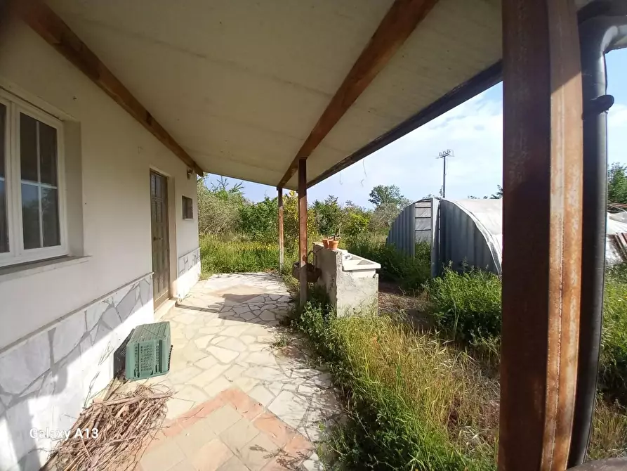 Immagine 3 di Terreno agricolo in vendita  a Castelnuovo Magra