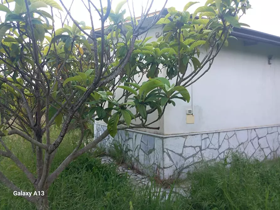 Immagine 10 di Terreno agricolo in vendita  a Castelnuovo Magra