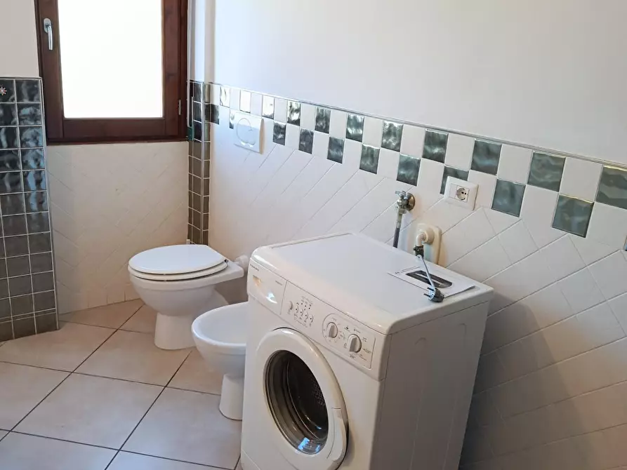 Immagine 11 di Appartamento in vendita  a Rosignano Marittimo