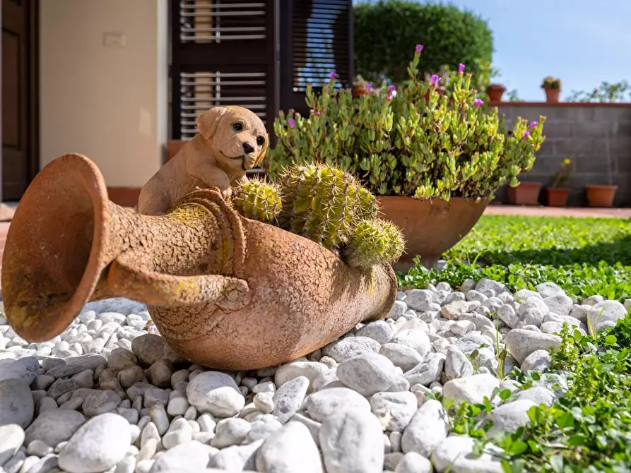 Immagine 22 di Villetta a schiera in vendita  a Cascina