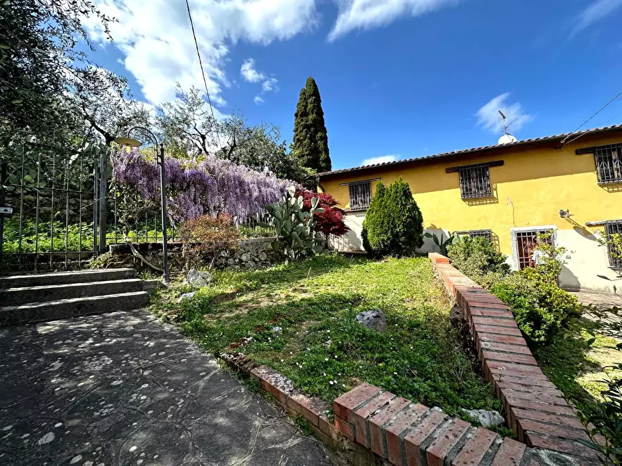 Immagine 29 di Casa colonica in vendita  a Pescia