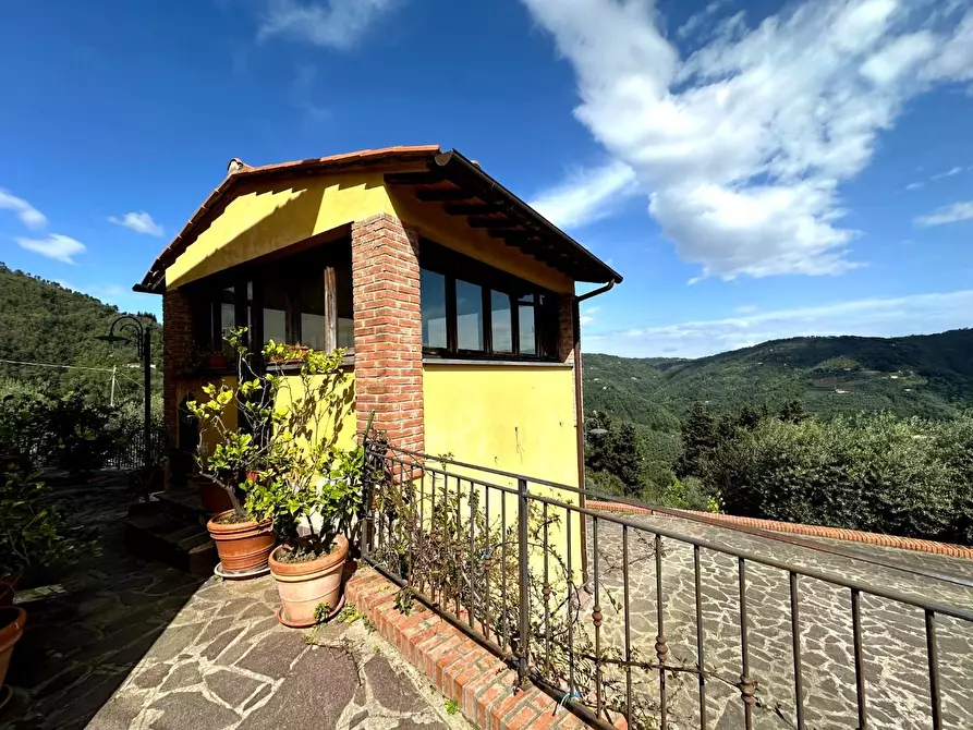 Immagine 23 di Casa colonica in vendita  a Pescia