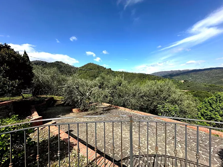Immagine 26 di Casa colonica in vendita  a Pescia