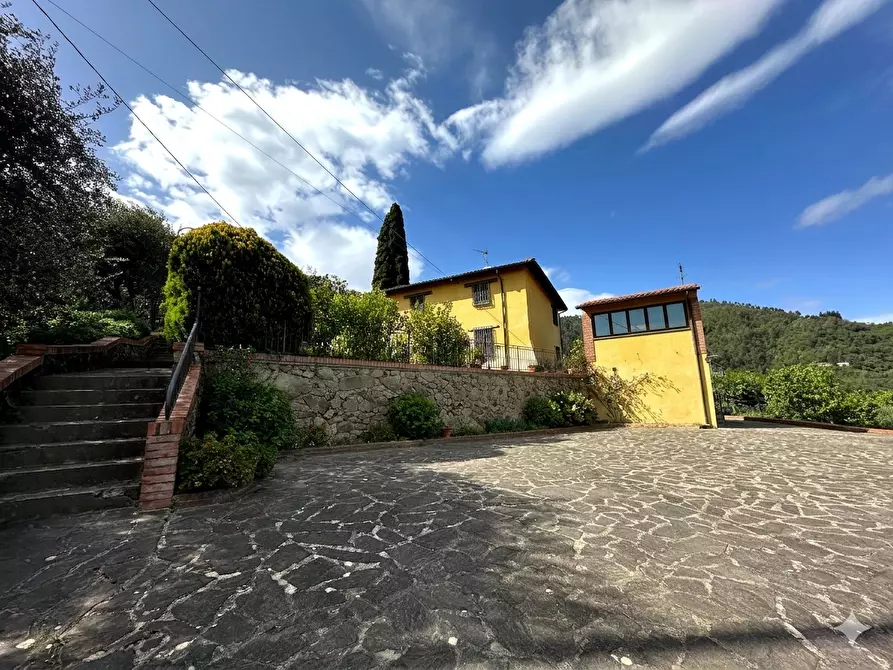 Immagine 2 di Casa colonica in vendita  a Pescia