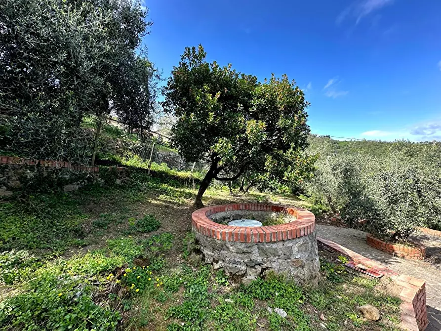 Immagine 28 di Casa colonica in vendita  a Pescia