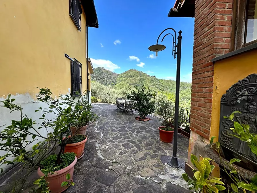 Immagine 24 di Casa colonica in vendita  a Pescia