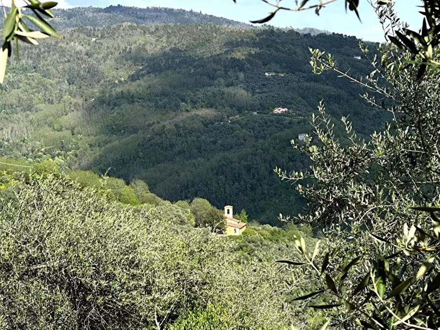 Immagine 33 di Casa colonica in vendita  a Pescia