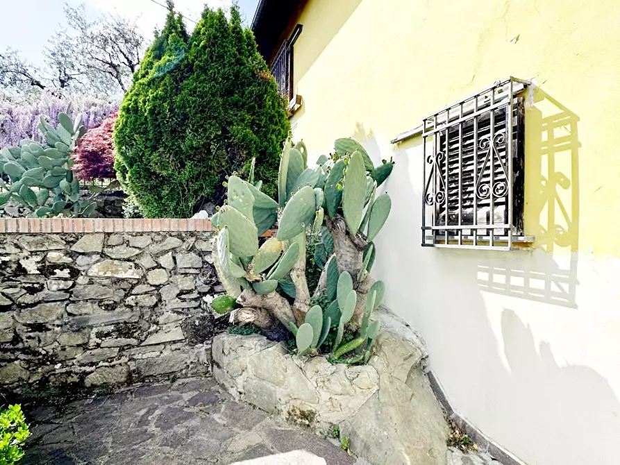 Immagine 30 di Casa colonica in vendita  a Pescia