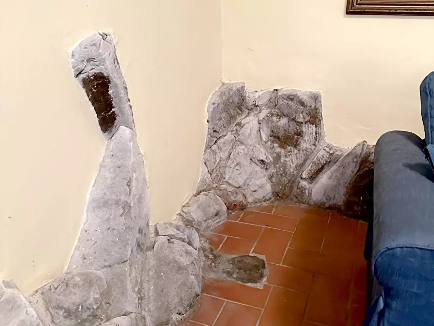 Immagine 6 di Casa colonica in vendita  a Pescia