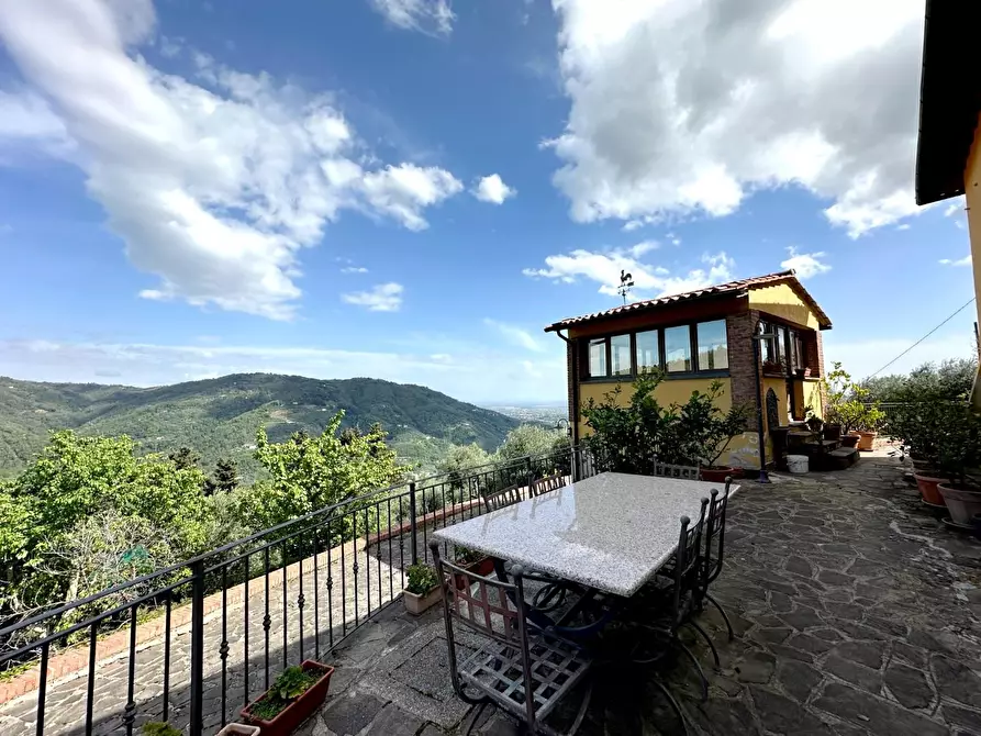 Immagine 25 di Casa colonica in vendita  a Pescia