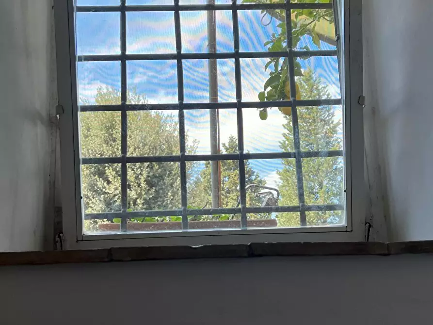 Immagine 15 di Appartamento in vendita  a Empoli