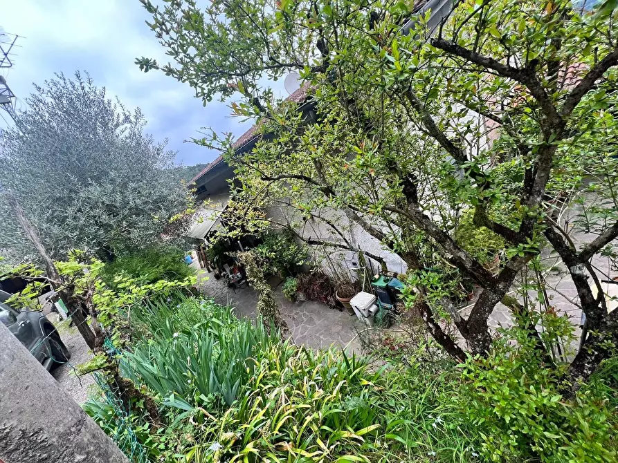 Immagine 32 di Villa in vendita  a Capannori