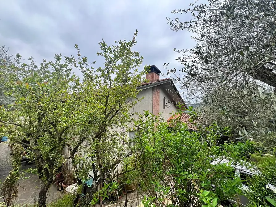 Immagine 20 di Villa in vendita  a Capannori