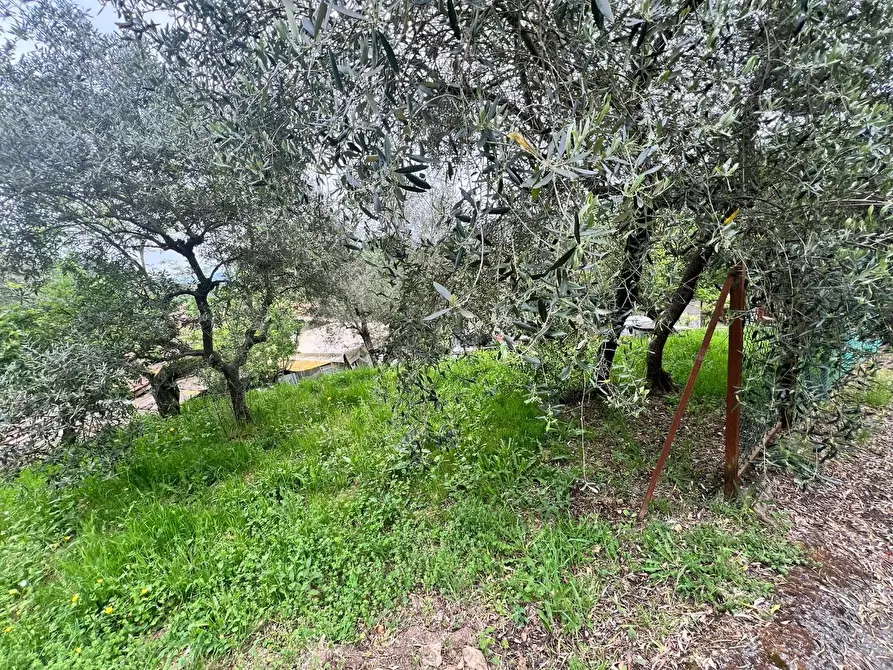 Immagine 31 di Villa in vendita  a Capannori