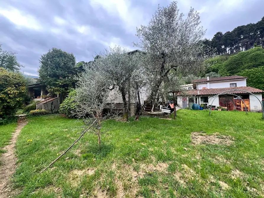 Immagine 33 di Villa in vendita  a Capannori