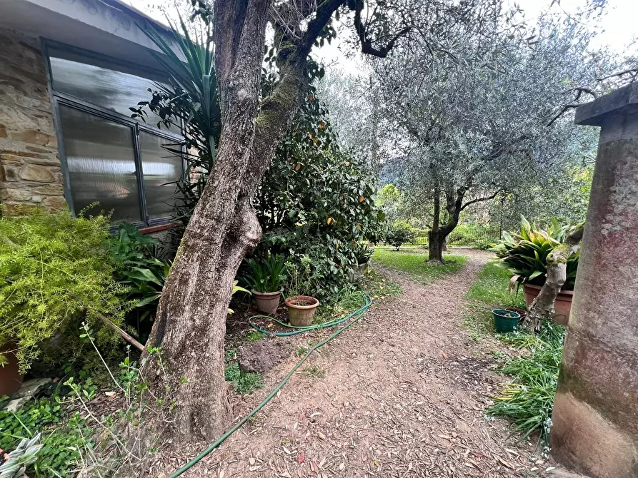 Immagine 26 di Villa in vendita  a Capannori