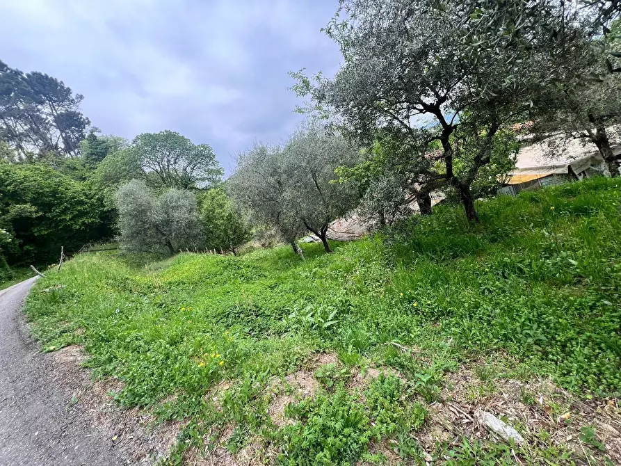 Immagine 35 di Villa in vendita  a Capannori