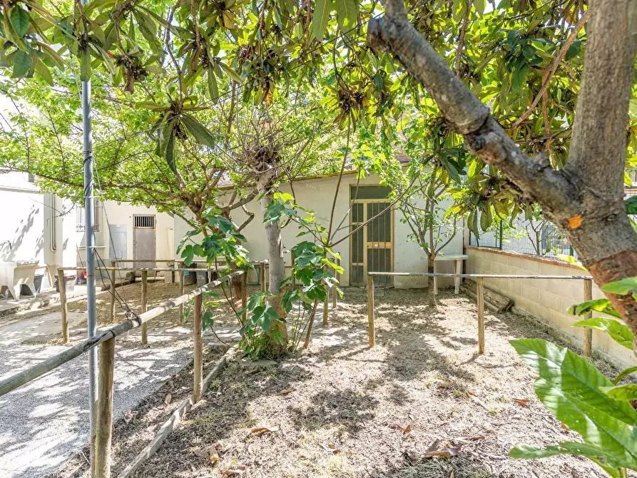 Immagine 9 di Casa quadrifamiliare in vendita  a Empoli