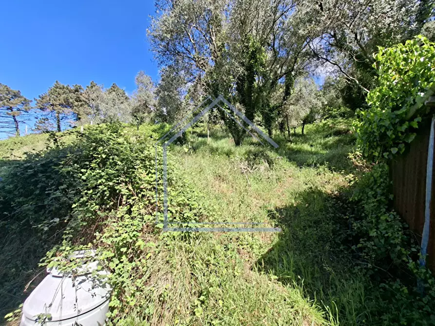 Immagine 24 di Terratetto in vendita  a Camaiore