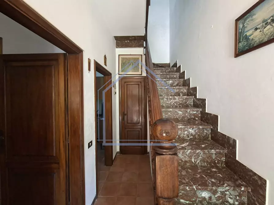 Immagine 18 di Terratetto in vendita  a Camaiore