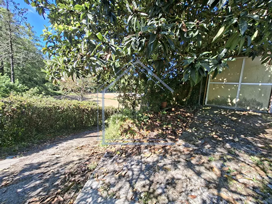 Immagine 8 di Terratetto in vendita  a Camaiore