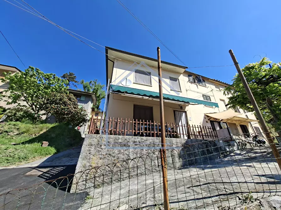 Immagine 4 di Terratetto in vendita  a Camaiore
