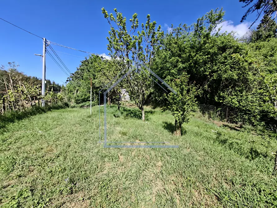 Immagine 6 di Terratetto in vendita  a Camaiore