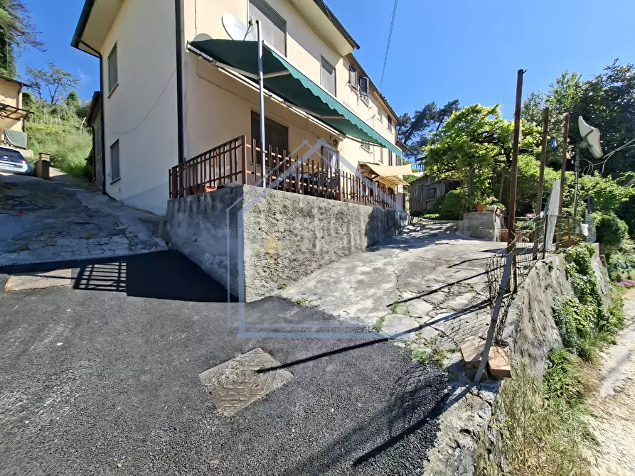 Immagine 3 di Terratetto in vendita  a Camaiore