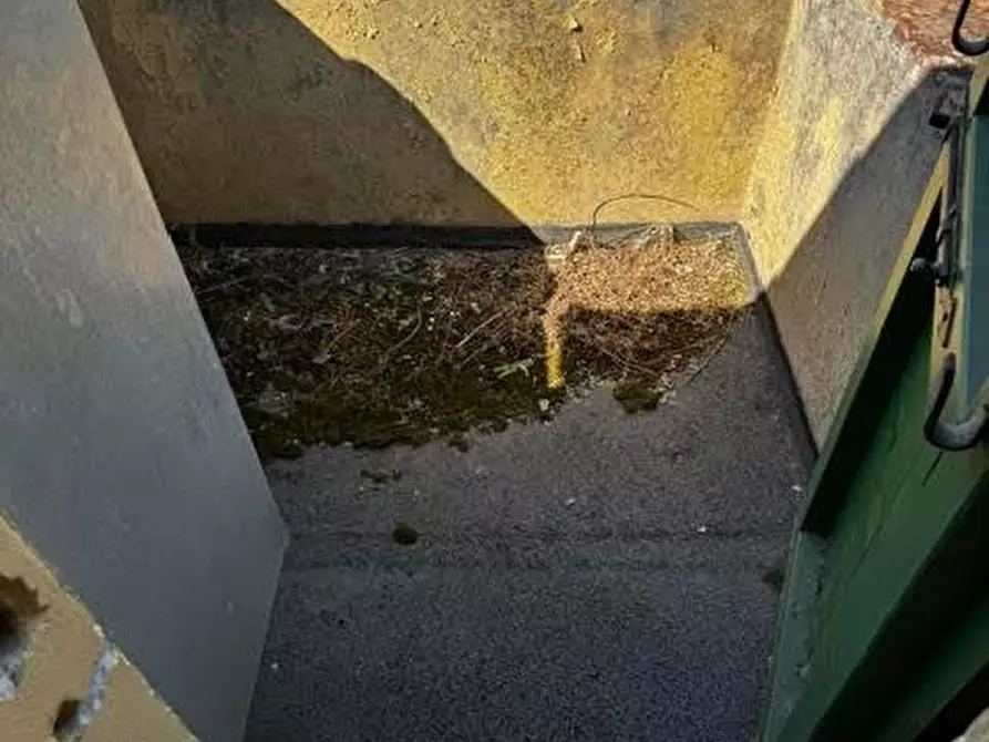 Immagine 14 di Casa indipendente in vendita  a Calci