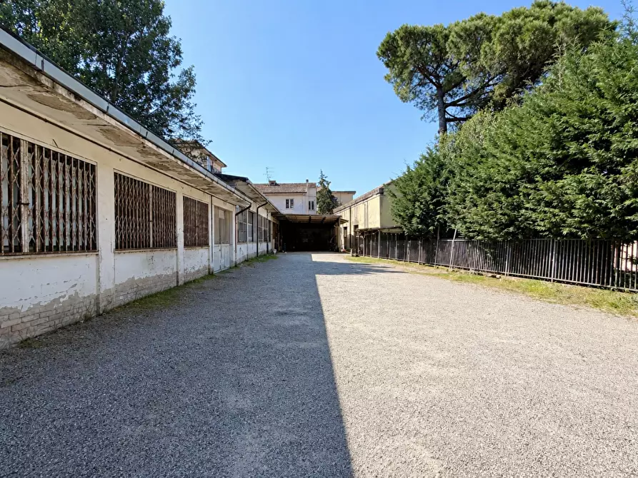 Immagine 1 di Attività artigianale in vendita  a Castelfiorentino