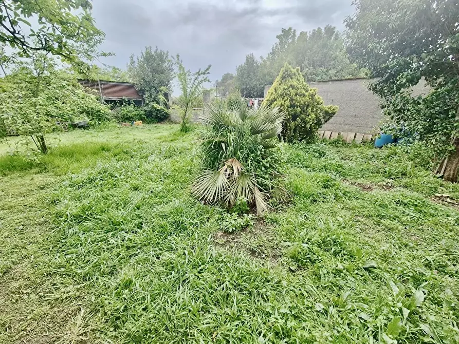 Immagine 5 di Terratetto in vendita  a Cascina