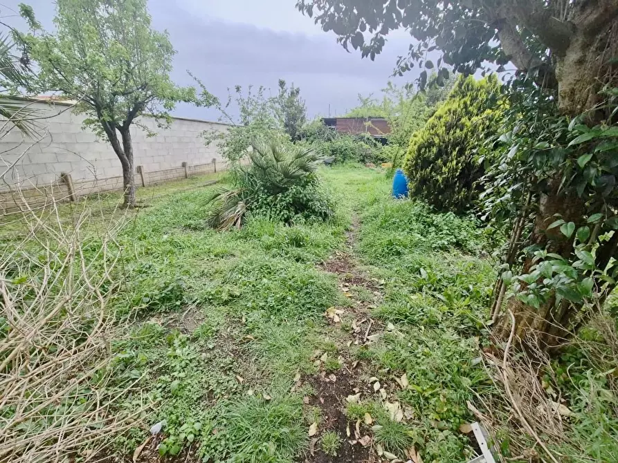 Immagine 8 di Terratetto in vendita  a Cascina