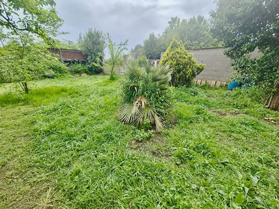Immagine 11 di Terratetto in vendita  a Cascina