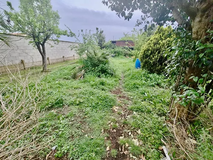 Immagine 13 di Terratetto in vendita  a Cascina