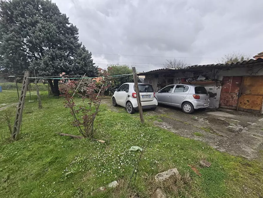 Immagine 9 di Terratetto in vendita  a Calcinaia