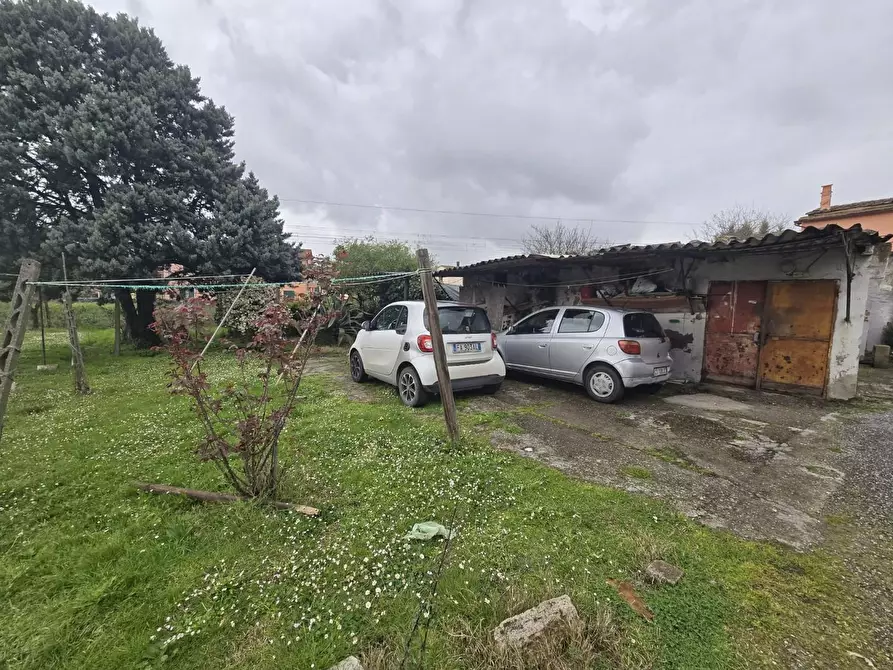 Immagine 8 di Terratetto in vendita  a Calcinaia