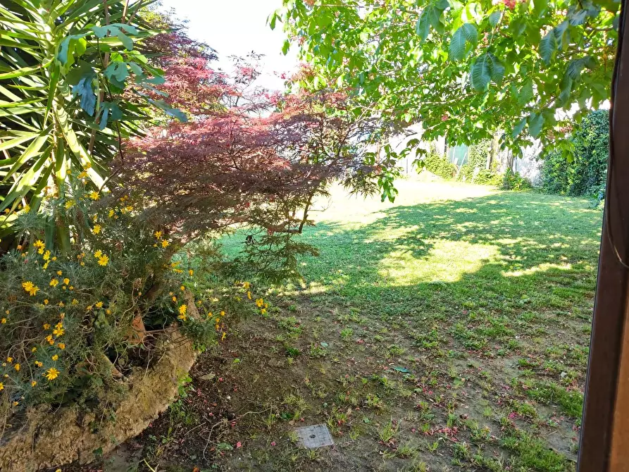 Immagine 16 di Rustico / casale in vendita  a San Giuliano Terme