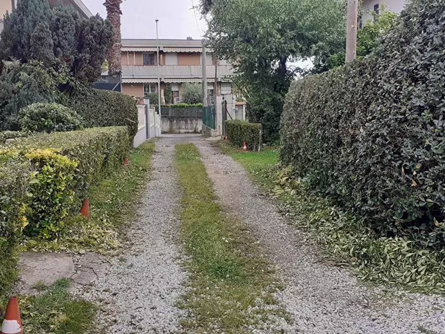 Immagine 1 di Terreno agricolo in vendita  a Massa