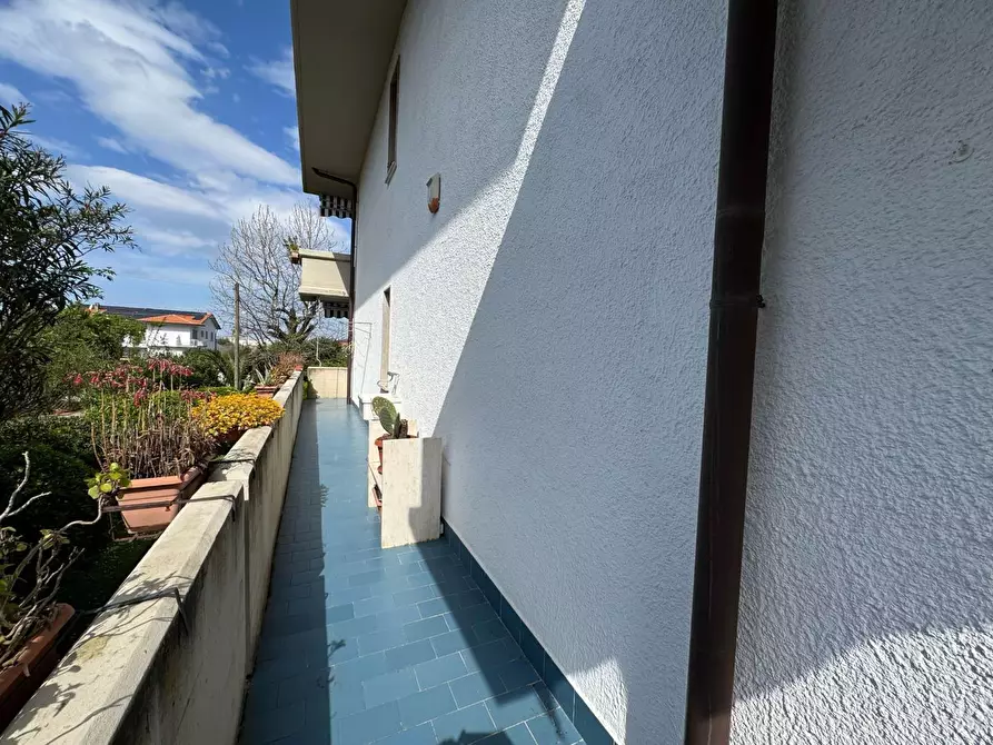 Immagine 9 di Appartamento in vendita  a Massa