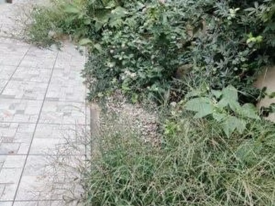 Immagine 3 di Appartamento in vendita  a Livorno