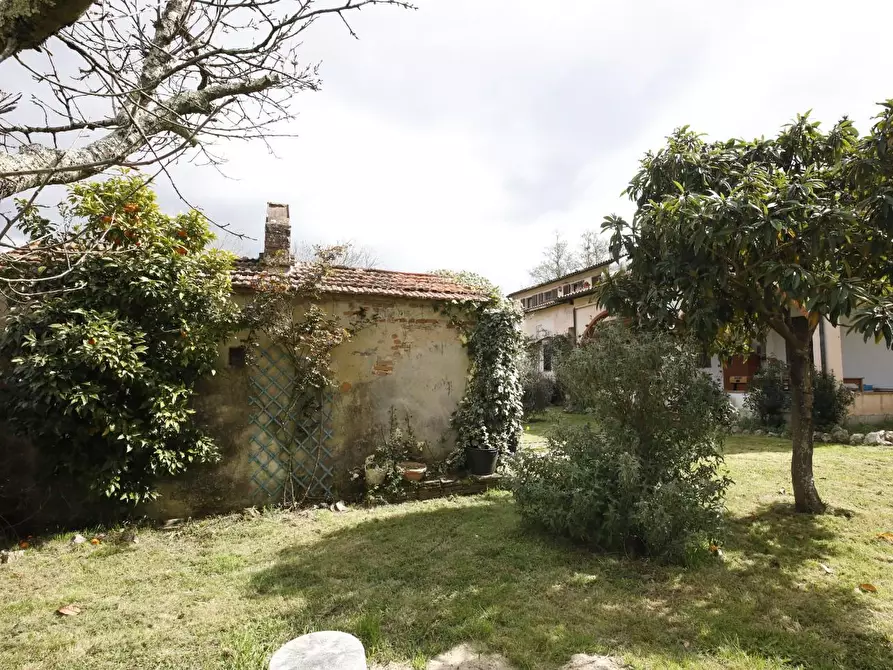 Immagine 39 di Casa colonica in vendita  a Fauglia