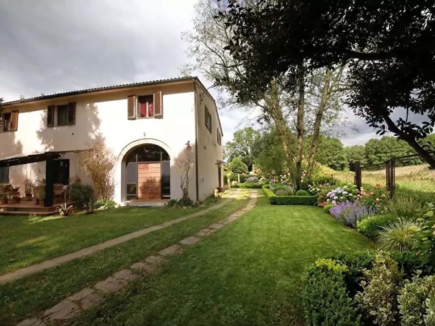 Immagine 7 di Casa colonica in vendita  a Fauglia