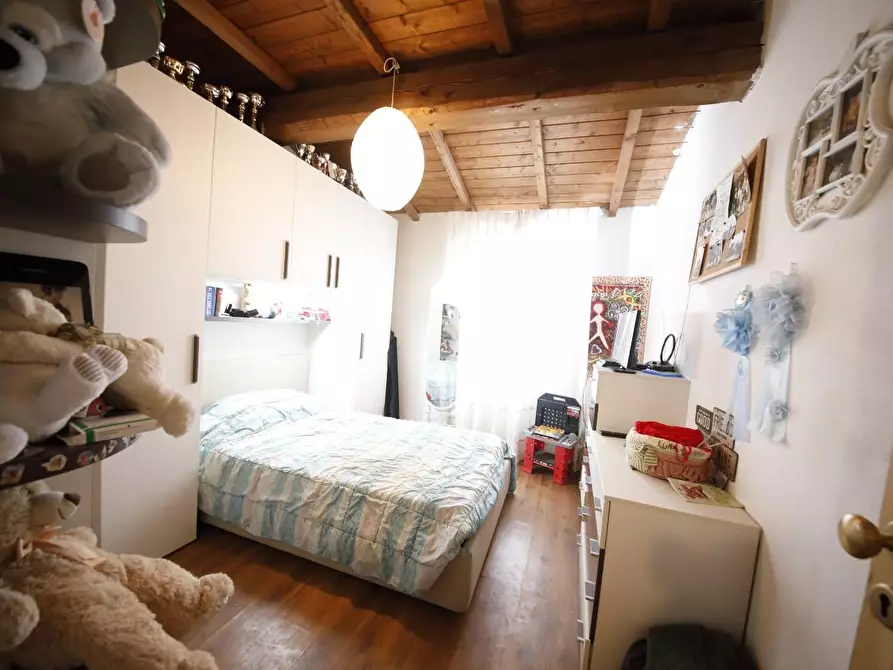 Immagine 22 di Casa colonica in vendita  a Fauglia