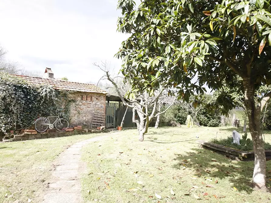 Immagine 38 di Casa colonica in vendita  a Fauglia